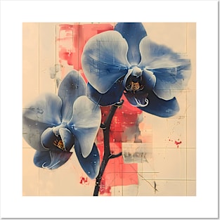 Beautiful Flowers - Orchid Posters and Art